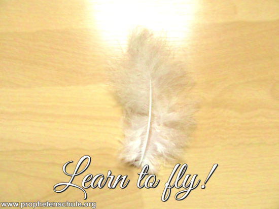 Learn to fly! Prophecy for 2016